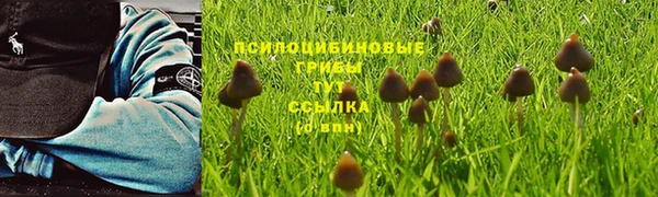 альфа пвп Новозыбков