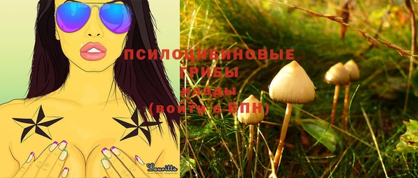 меф Солнечногорск
