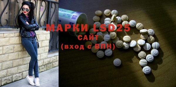 спайс Новодвинск