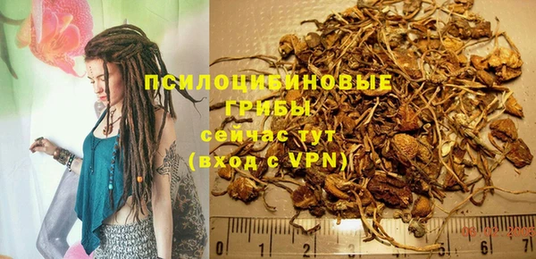 альфа пвп Новозыбков