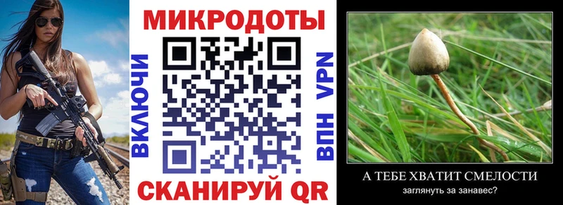 Псилоцибиновые грибы Cubensis  Ильский 